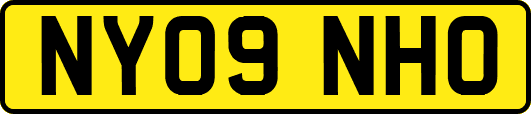 NY09NHO