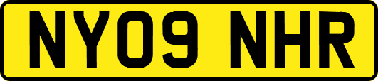 NY09NHR