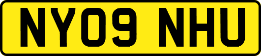 NY09NHU