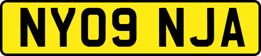 NY09NJA