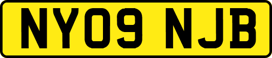 NY09NJB