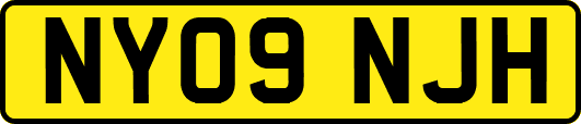 NY09NJH