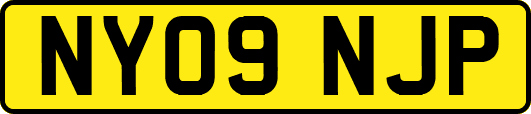 NY09NJP