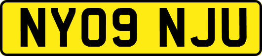 NY09NJU
