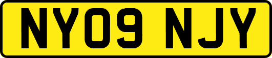 NY09NJY