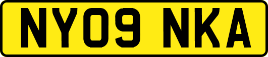 NY09NKA