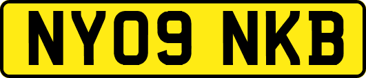 NY09NKB