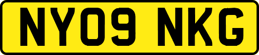 NY09NKG