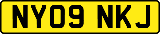 NY09NKJ