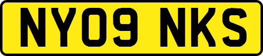 NY09NKS