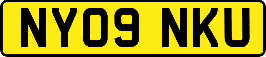 NY09NKU