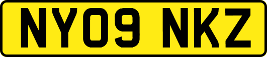 NY09NKZ