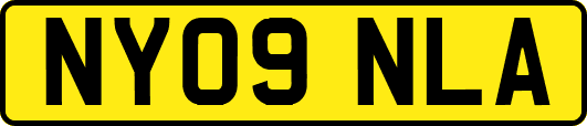 NY09NLA