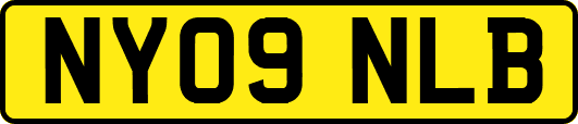 NY09NLB