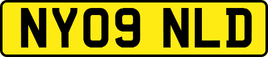 NY09NLD