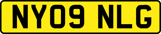 NY09NLG