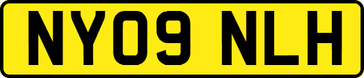 NY09NLH