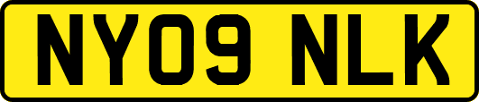NY09NLK
