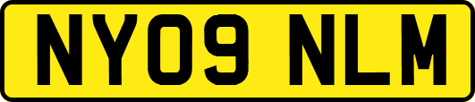 NY09NLM