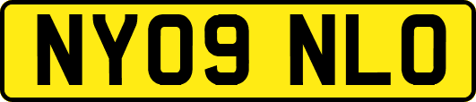 NY09NLO