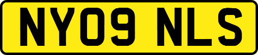 NY09NLS
