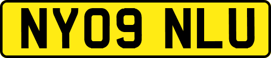 NY09NLU