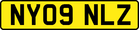 NY09NLZ