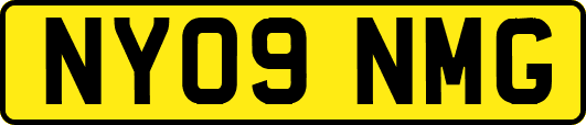 NY09NMG