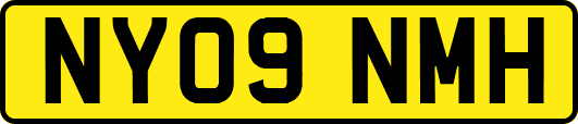 NY09NMH