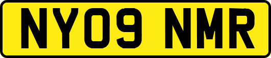 NY09NMR