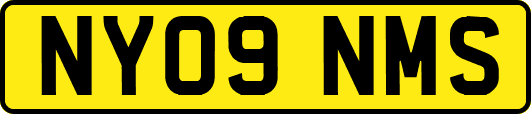 NY09NMS