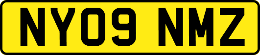 NY09NMZ