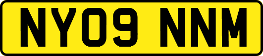 NY09NNM
