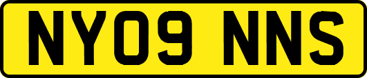 NY09NNS