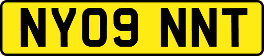 NY09NNT