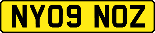 NY09NOZ
