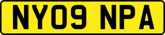 NY09NPA