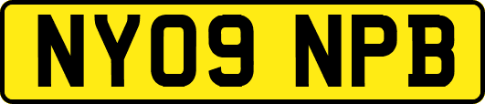 NY09NPB
