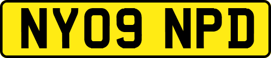 NY09NPD