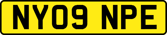 NY09NPE