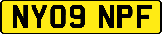 NY09NPF