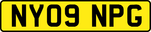 NY09NPG