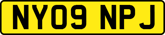 NY09NPJ