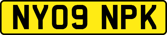 NY09NPK