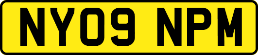 NY09NPM