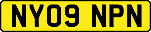 NY09NPN
