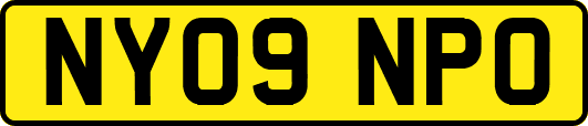 NY09NPO
