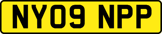 NY09NPP