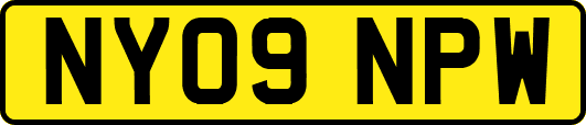 NY09NPW