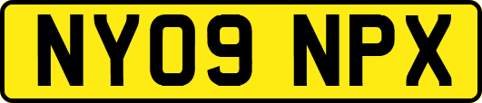 NY09NPX